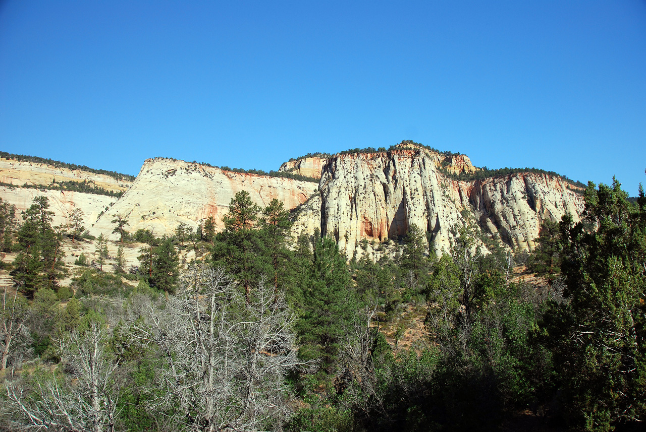 07-08-24, 007, Zion National Park, Utah