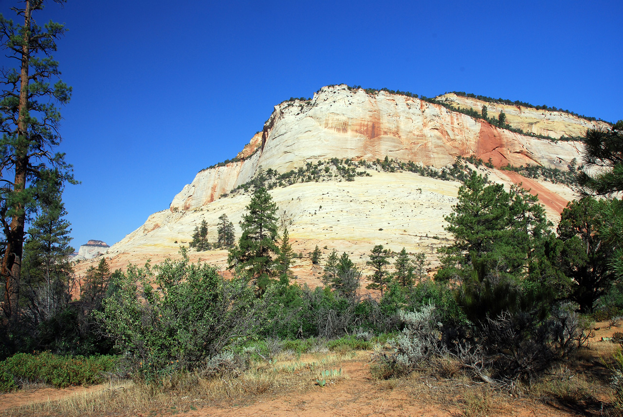 07-08-24, 010, Zion National Park, Utah