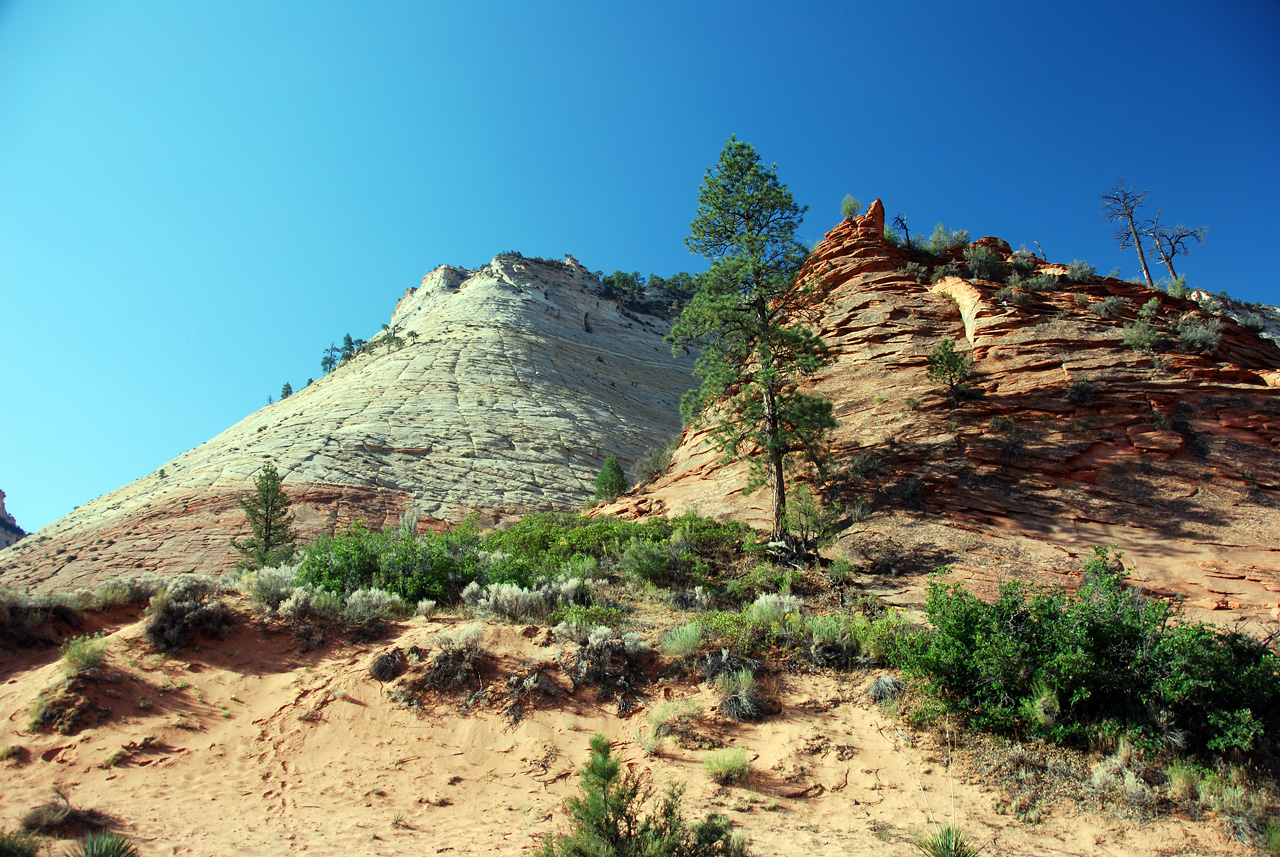 07-08-24, 013, Zion National Park, Utah