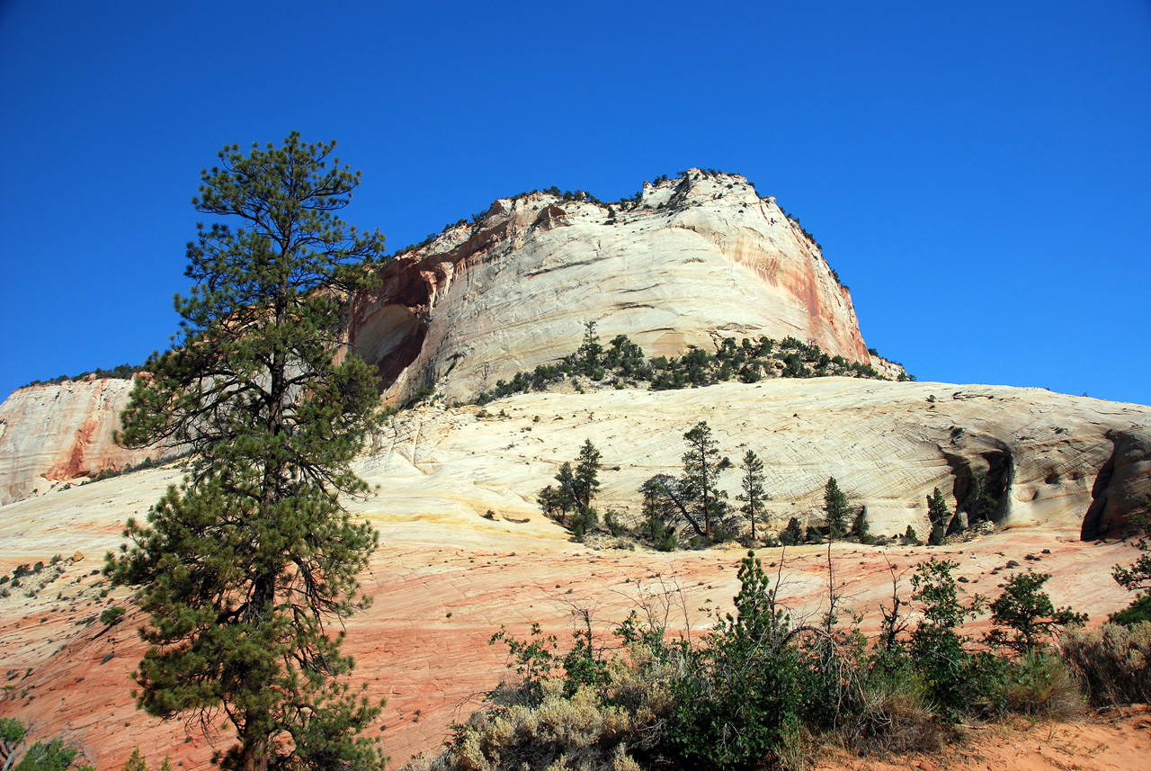 07-08-24, 014, Zion National Park, Utah