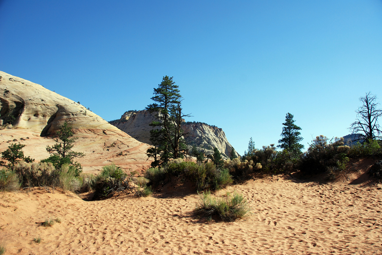 07-08-24, 015, Zion National Park, Utah
