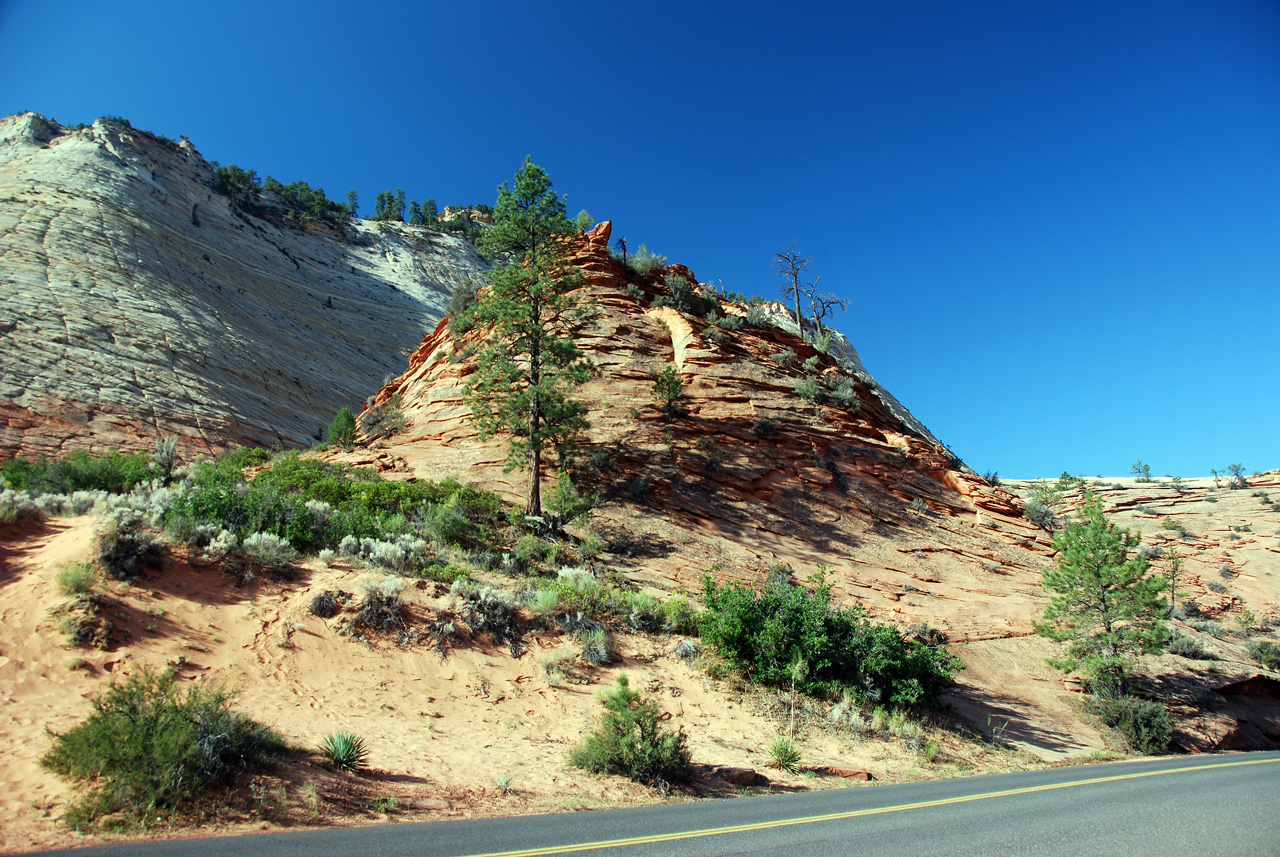 07-08-24, 016, Zion National Park, Utah