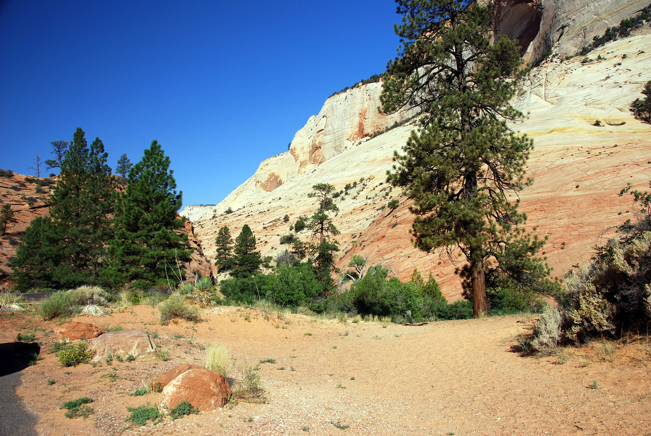 07-08-24, 017, Zion National Park, Utah