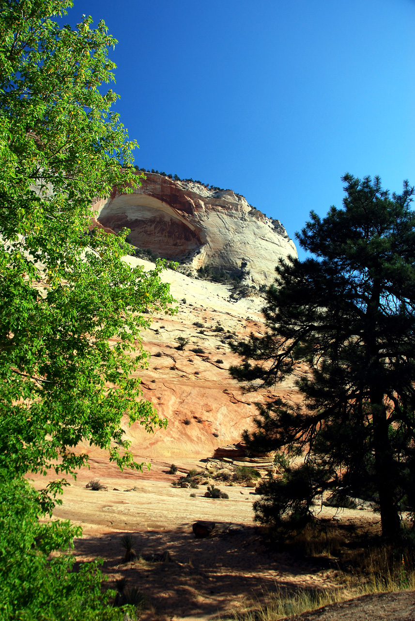 07-08-24, 018, Zion National Park, Utah