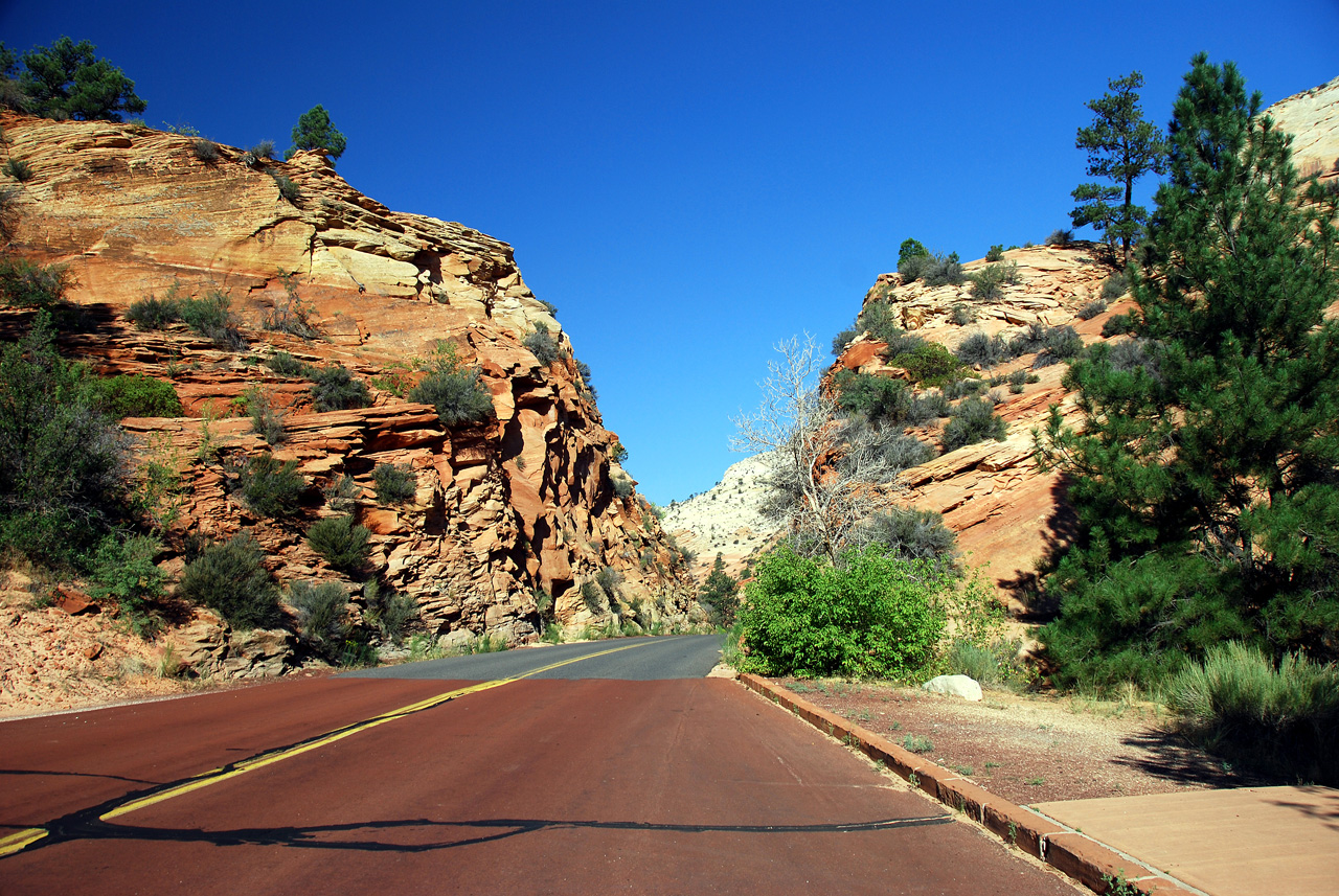 07-08-24, 020, Zion National Park, Utah