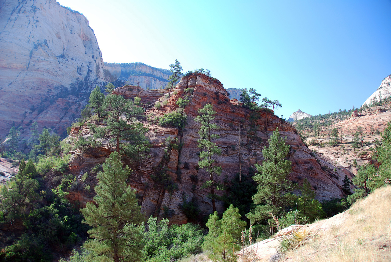 07-08-24, 023, Zion National Park, Utah