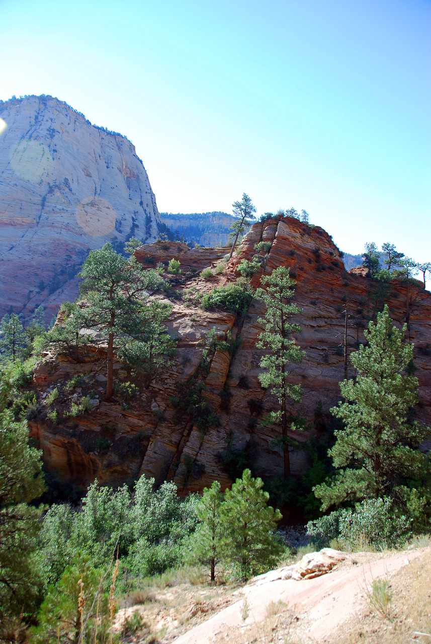07-08-24, 025, Zion National Park, Utah
