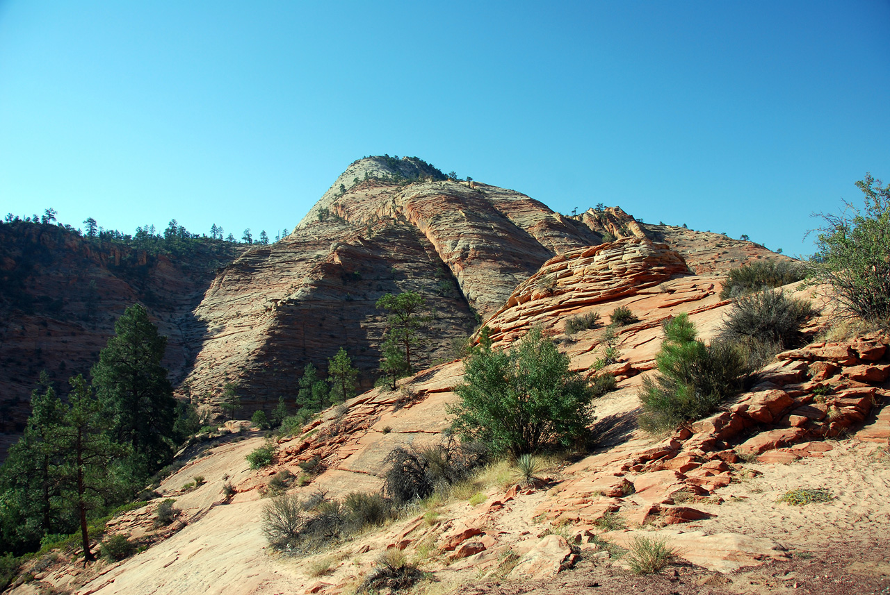 07-08-24, 027, Zion National Park, Utah