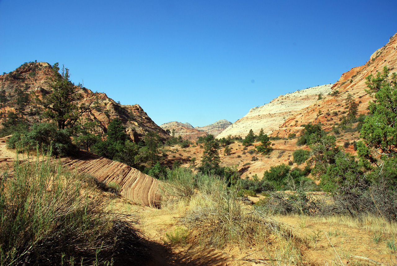 07-08-24, 029, Zion National Park, Utah