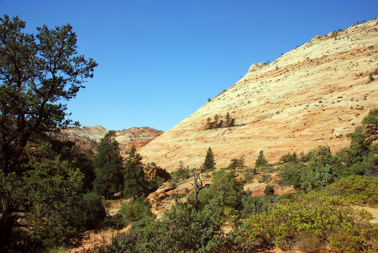 07-08-24, 032, Zion National Park, Utah