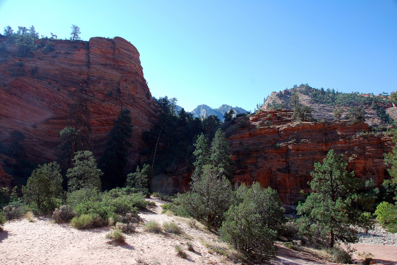 07-08-24, 038, Zion National Park, Utah