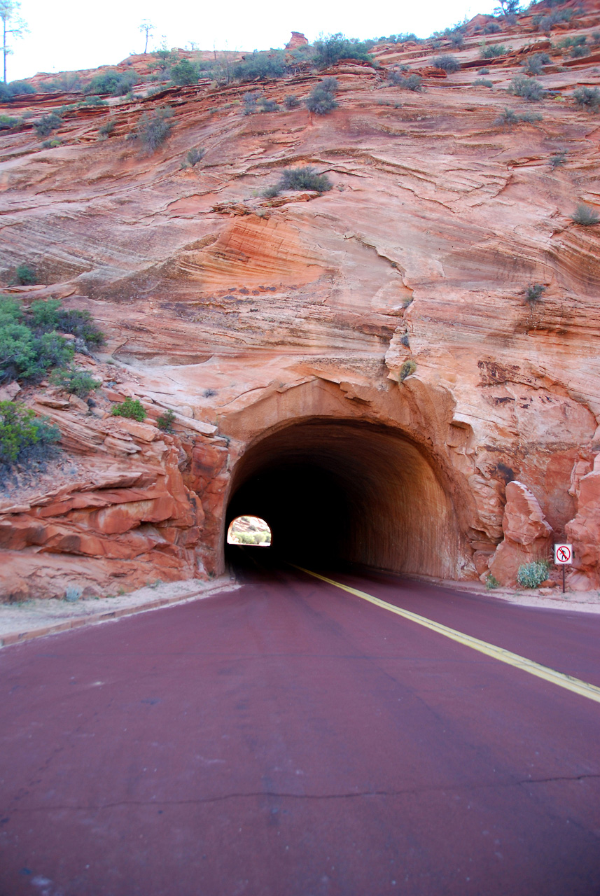 07-08-24, 044, Zion National Park, Utah