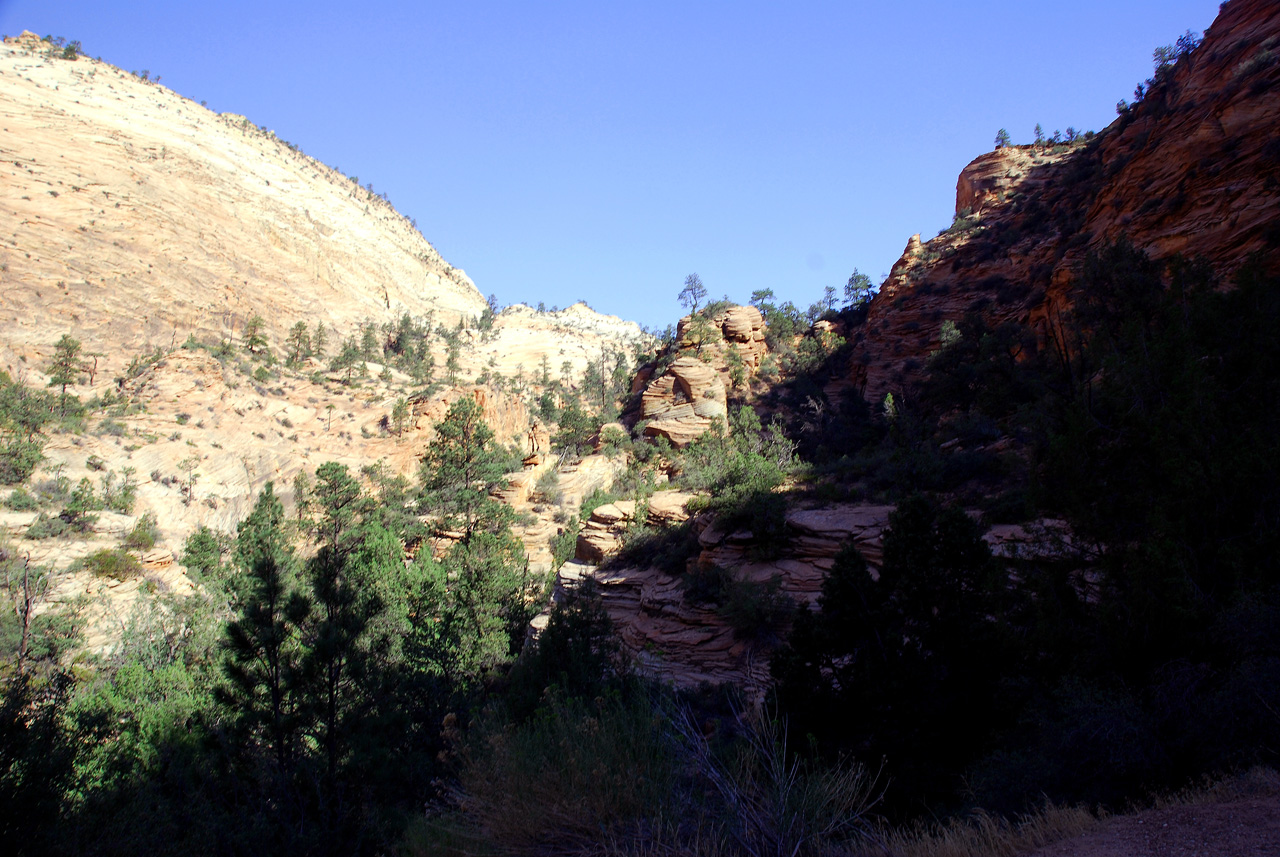 07-08-24, 047, Zion National Park, Utah