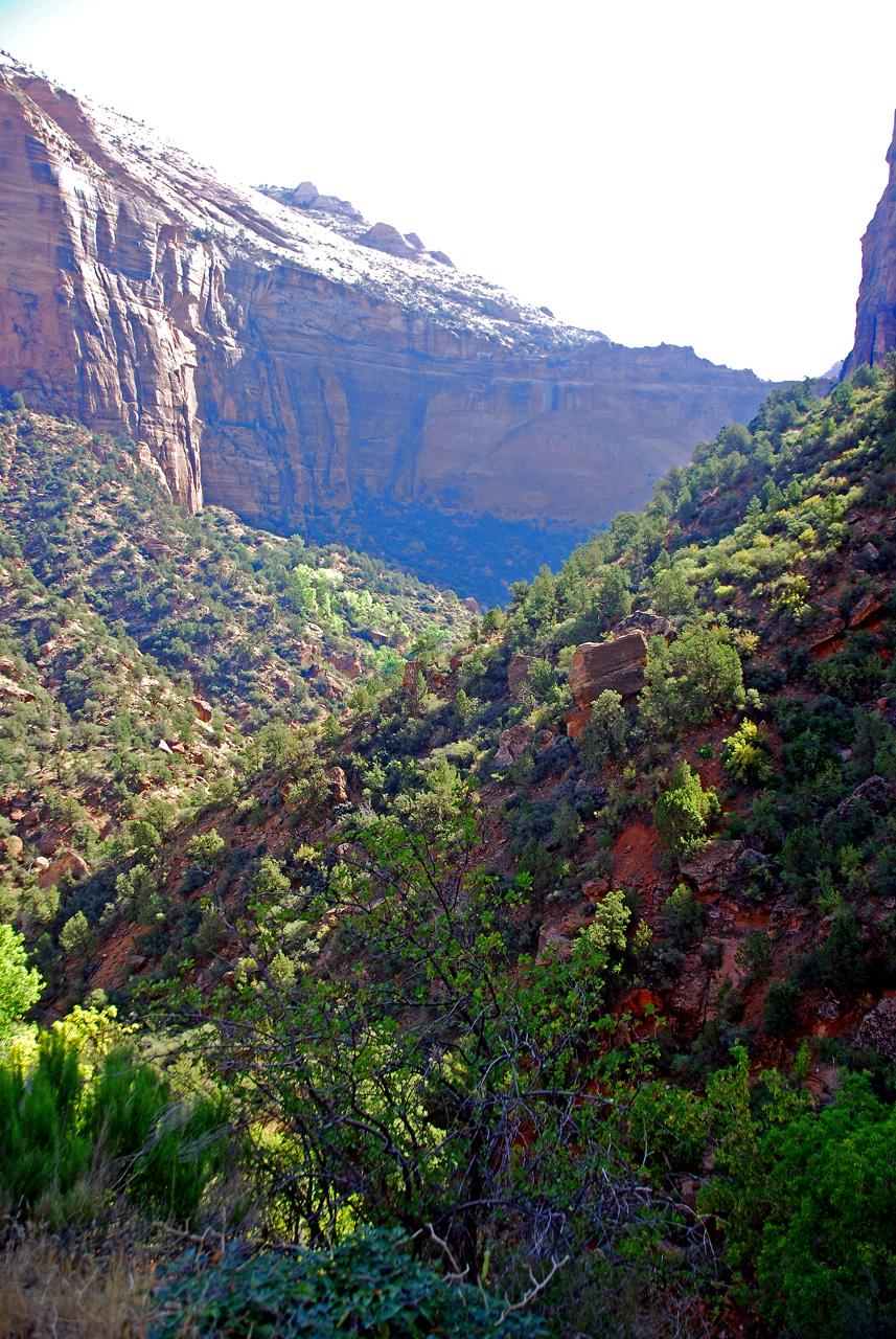 07-08-24, 059, Zion National Park, Utah
