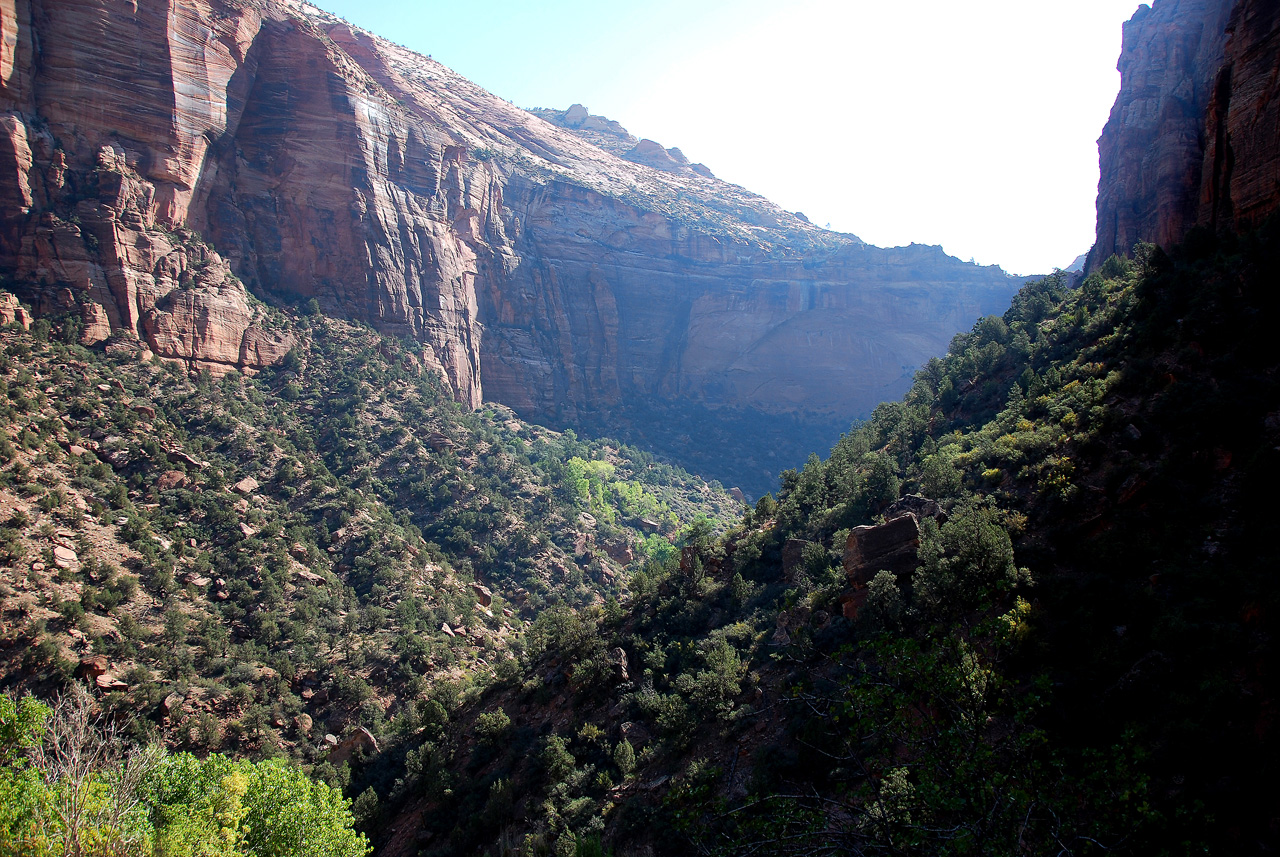 07-08-24, 060, Zion National Park, Utah