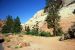 07-08-24, 017, Zion National Park, Utah