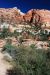 07-08-24, 048, Zion National Park, Utah