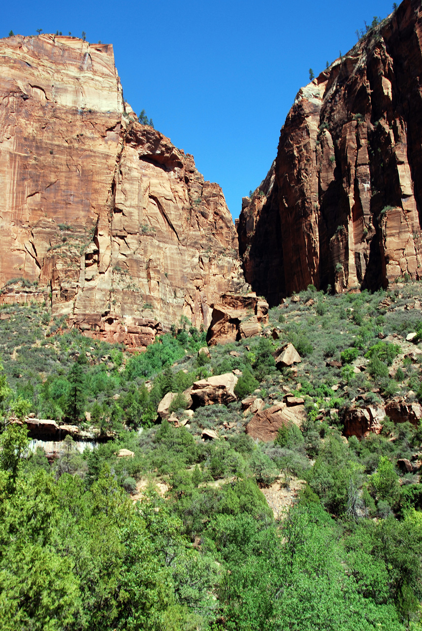07-08-24, 143, Zion National Park, Utah